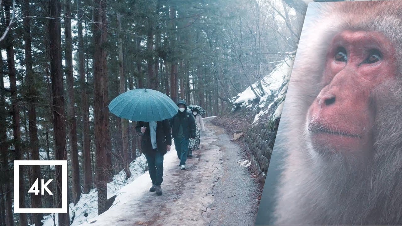 Nagano 4K Virtual Walk