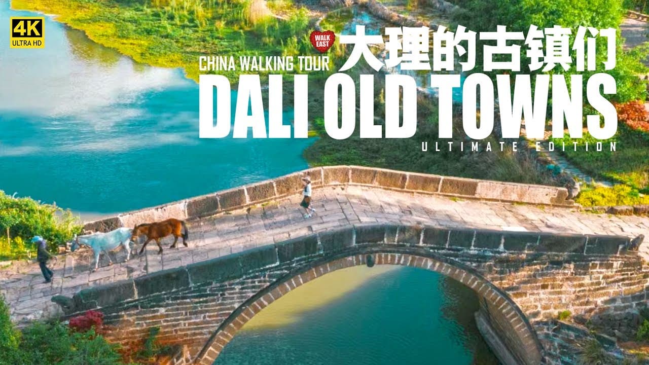 Dali 4K Virtual Walk