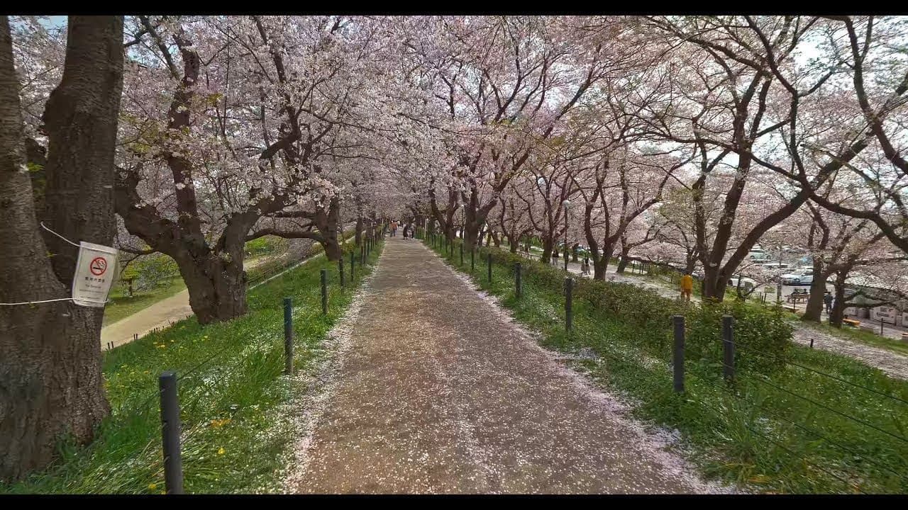 Saitama 4K Virtual Walk